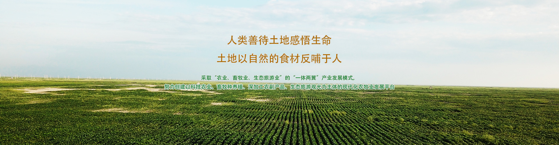 輪顯圖一