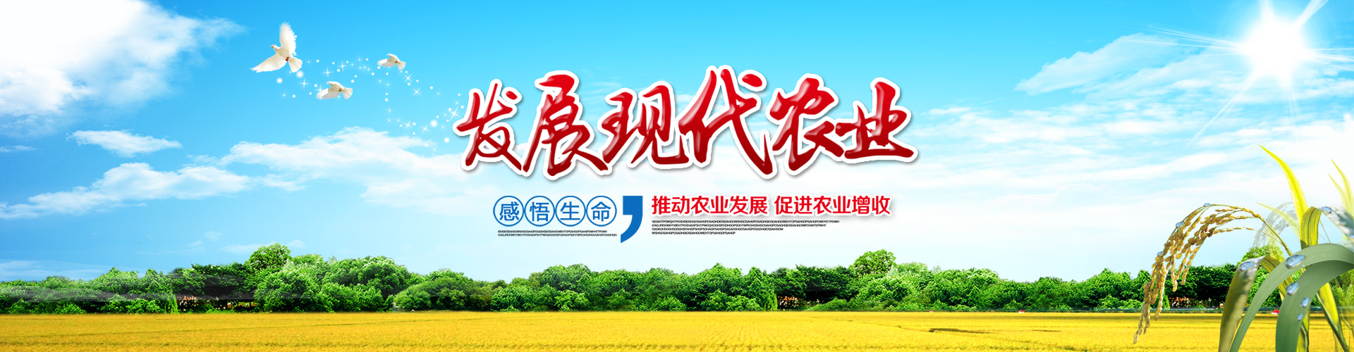 輪顯圖2