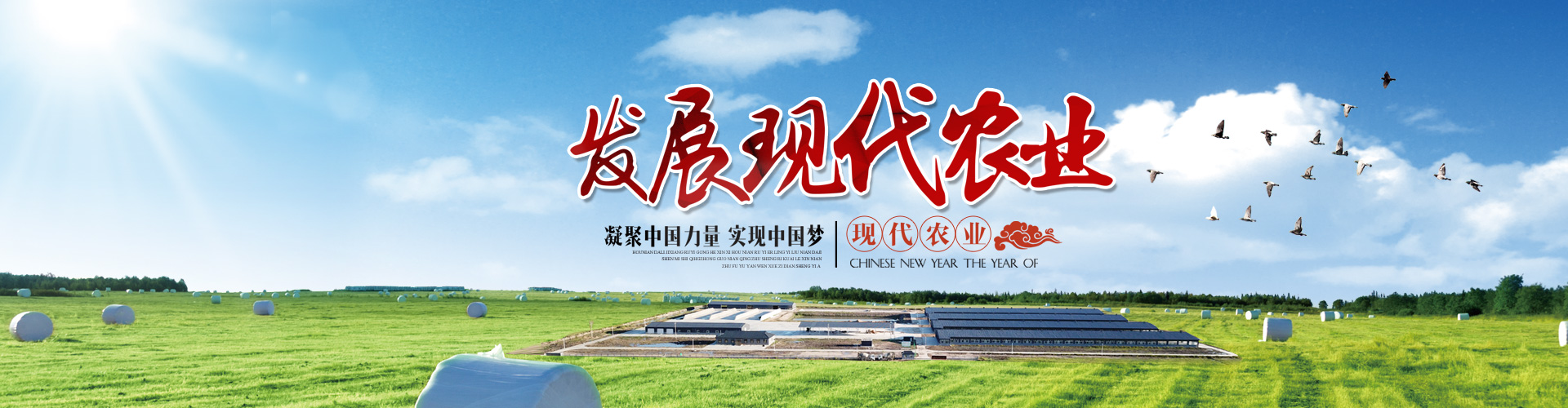 輪顯圖3